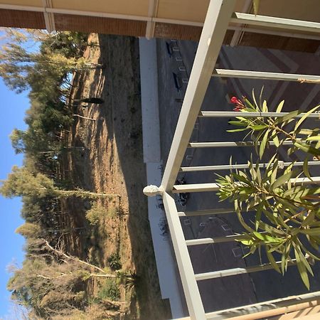 Mundo Nuevo Malaga Centro Apartment Екстериор снимка